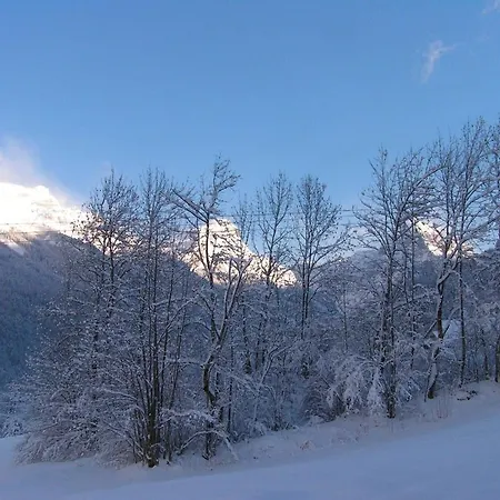 Narcisse Chalet Sixt-Fer-a-Cheval